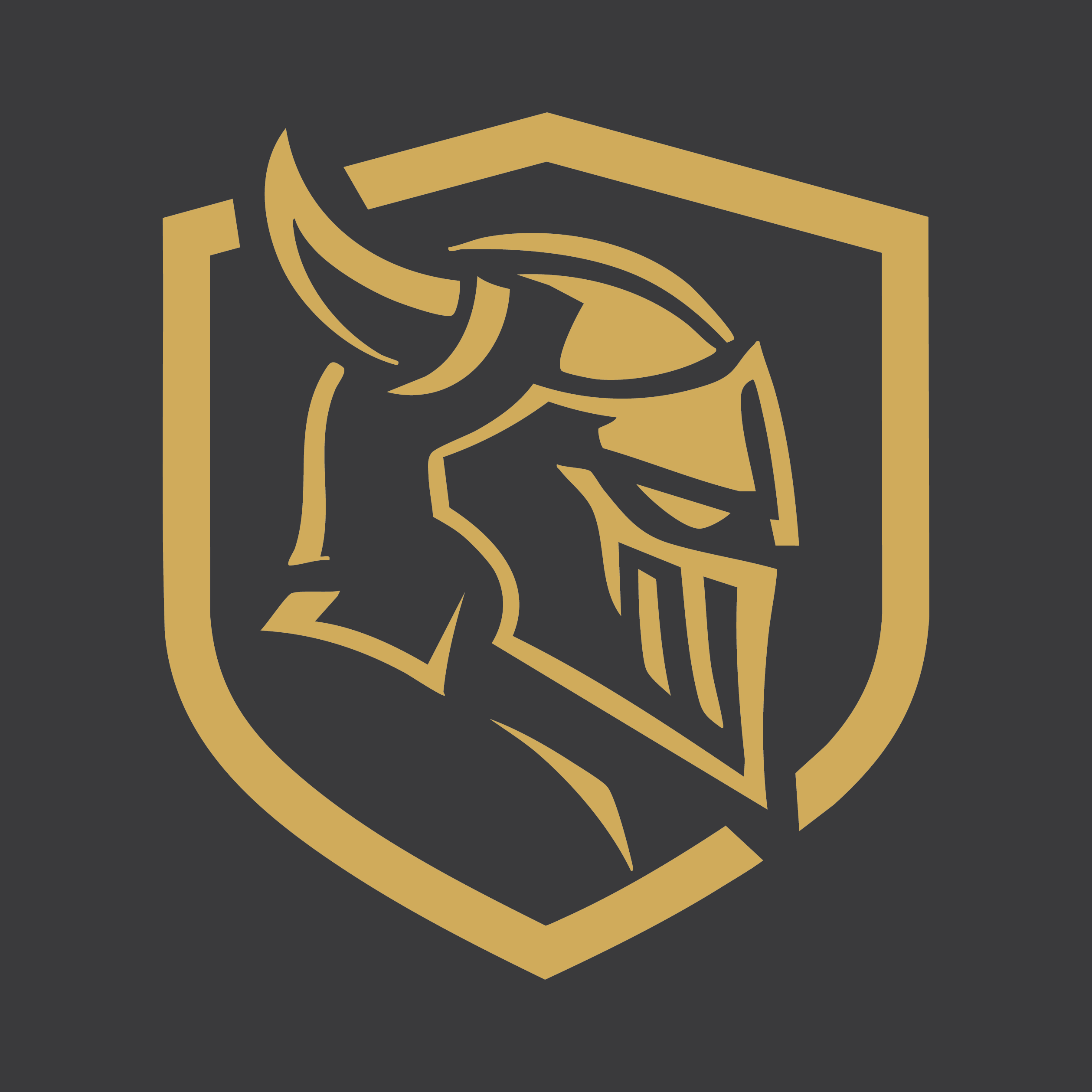 aegisconstruction.net